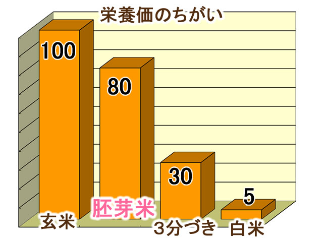 胚芽米の栄養価のグラフ