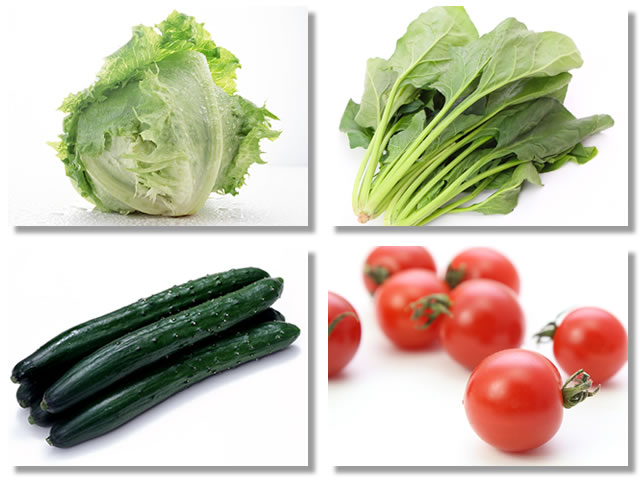 冷やす野菜はレタス、ほうれんそう、きゅうり、トマト